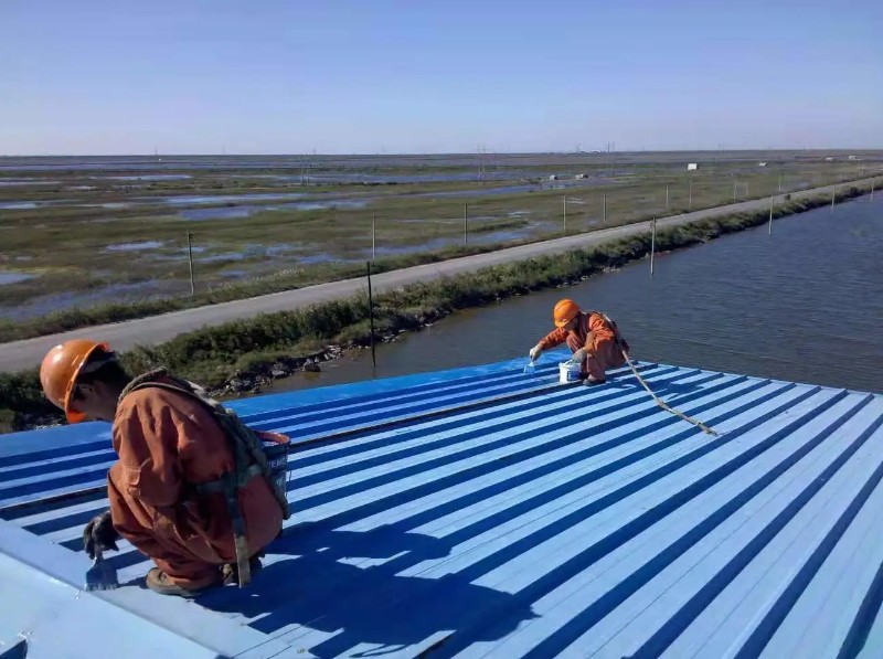 新密钢结构屋面漏水原因